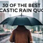 30 of the Best Sarcastic Rain Quotes