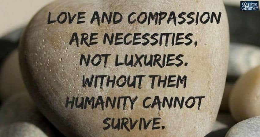 How Kindness and Compassion Define a Pure Soul