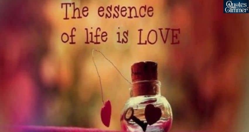 The Essence of Love