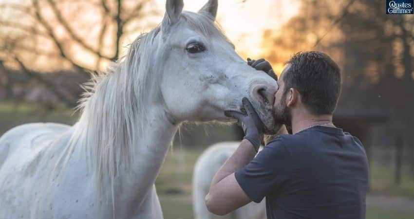 The Relationship Between Horse and Caretaker