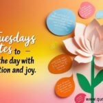 25 Tuesdays Quotes to Greet the Day Motivate and joy